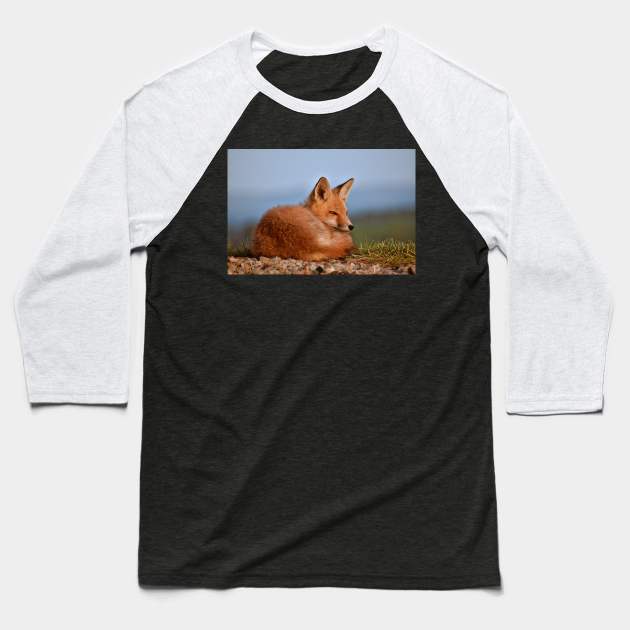 Alert Red Fox Kit Baseball T-Shirt by A Thousand Words Photography